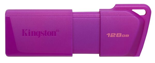 Kingston - USB flash drive - USB 3.2 Gen 2 - DTXM - NEON (Purple)