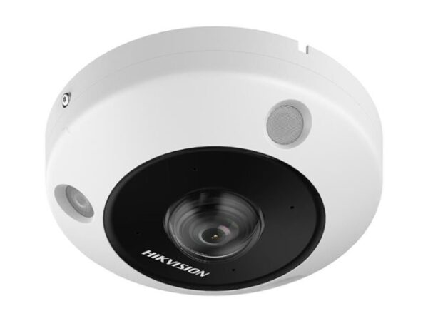 Hikvision DeepinView DS-2CD6365G1-IVS - Red de vigilancia / cámara panorámica - cúpula - contra polv
