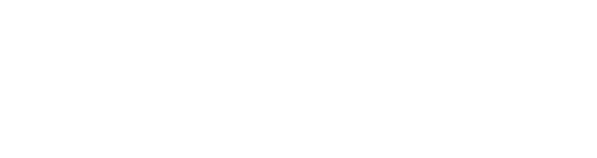 Electro Import